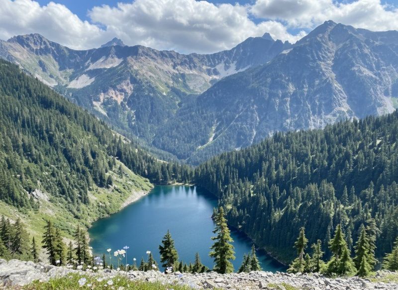 Best Shower Installation pros in Maple Valley, WA